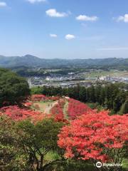 Kasama Tsutsuji Park (Kasama Azalea Park)