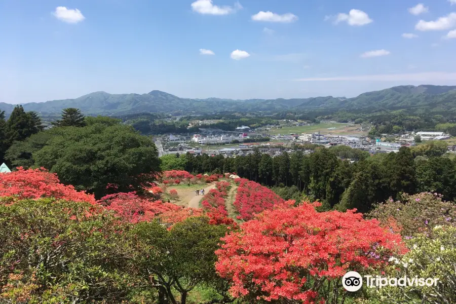 Kasama Tsutsuji Park (Kasama Azalea Park)