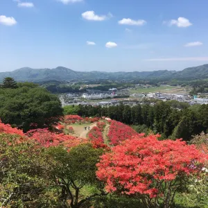 笠間つつじ公園