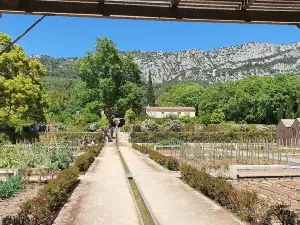 Jardin Domaine de Baudouvin