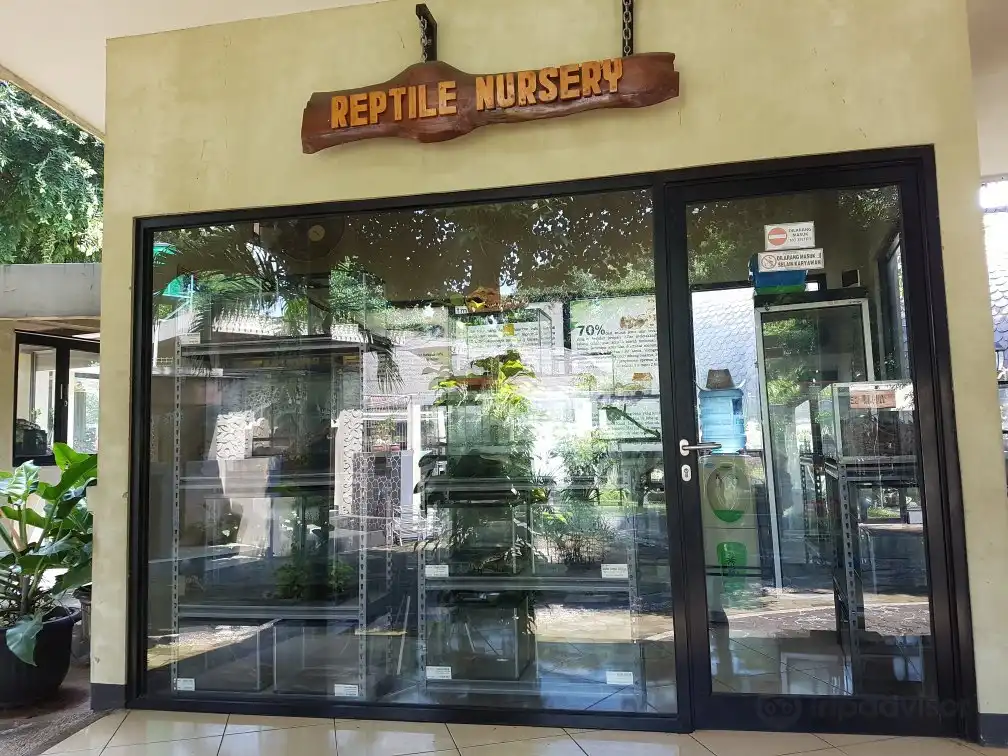 Taman Reptil dan Museum Komodo附近的飯店