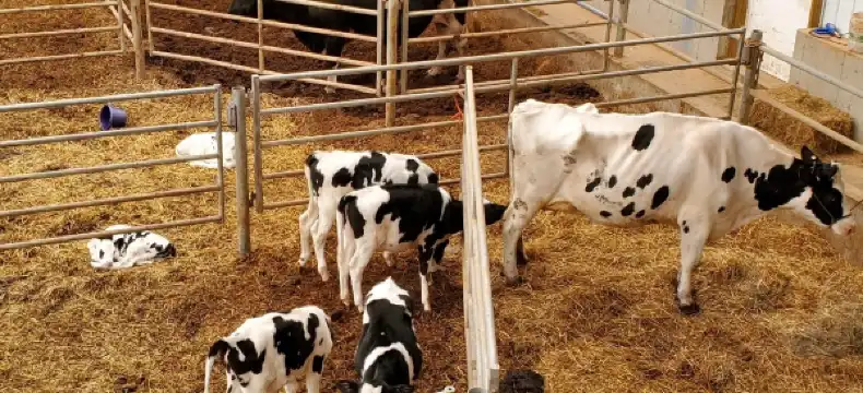 Hotels in Lake Charter Township