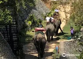 芭達雅大象村