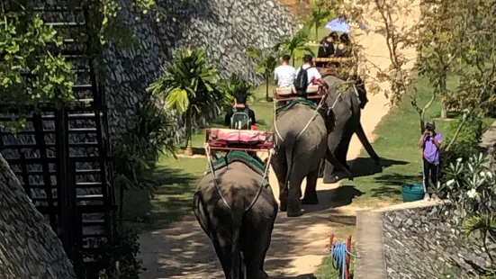 Pattaya Elephant Village