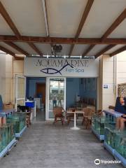 Aqua Marine Fish Spa