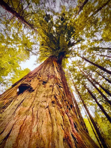Del Norte County