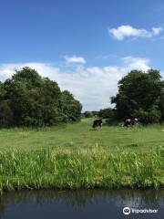 Biologische Tuinderij Land en Boschzigt