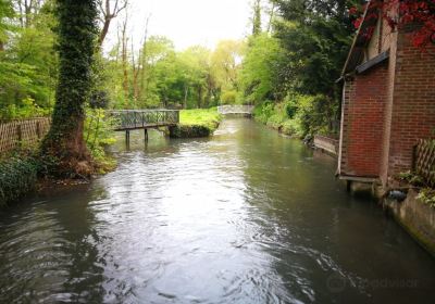 Parc du Moulin à Tan