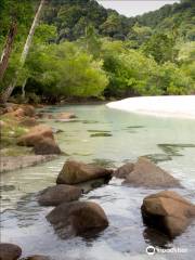 Aquarius Redang Dive Centre