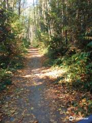 Putney Woods Trails