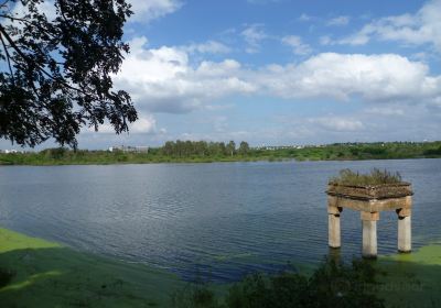 Lingambudhi Lake
