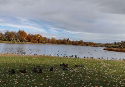 Montana Audubon Center