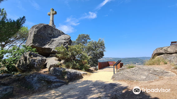 Botanico de Montealegre