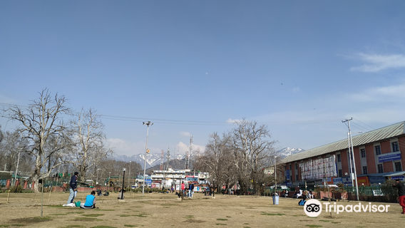 Pratap Park Srinagar