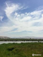 Santuario Nacional Lagunas de Mejia