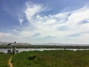 Santuario Nacional Lagunas de Mejia