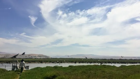 Santuario Nacional Lagunas de Mejia