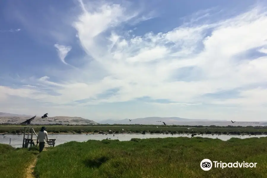 Santuario Nacional Lagunas de Mejia