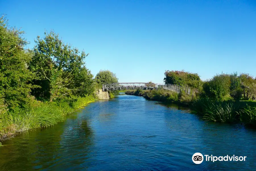 River Stort