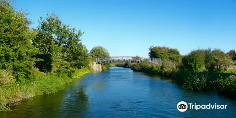 The River Stort