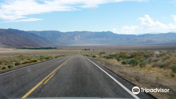 Mojave National Preserve