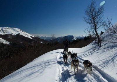 Athabaska Dogsledding - Scuola di Sleddog