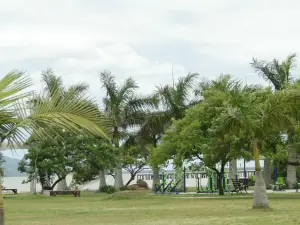 Parque De Coqueiros