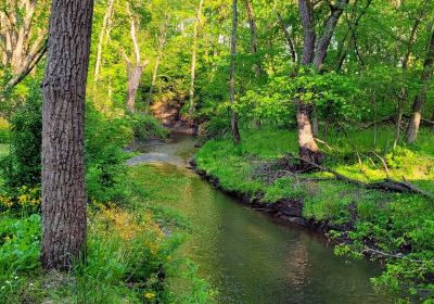 Big Brook Nature Preserve