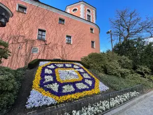 The Flower Clock