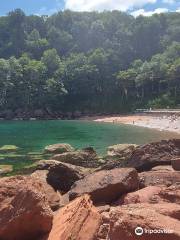 Watcombe Beach