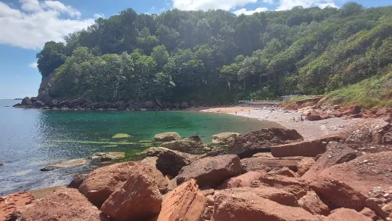 Watcombe Beach