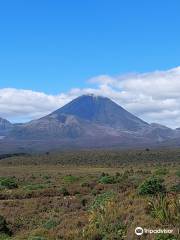 Mounds walk at Tongariro National Park