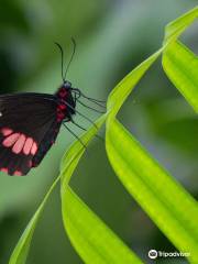 Butterfly House Karlovy Vary