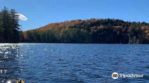 Saco Heath Preserve