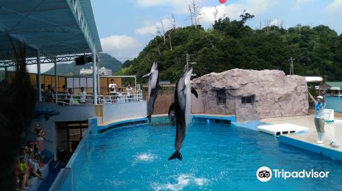 Shimoda Underwater Aquarium