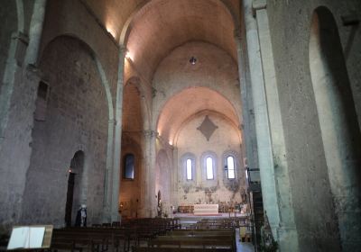 Cathedrale Notre-Dame-du-Bourg de Digne