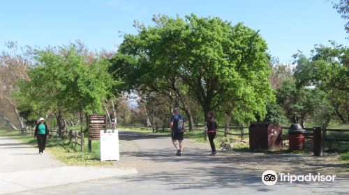 Sycamore Grove Park