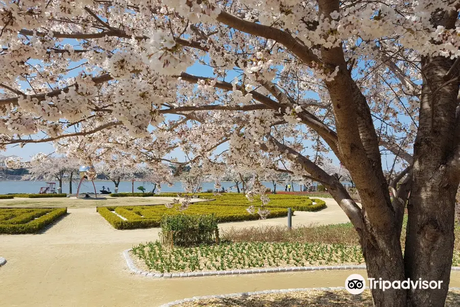 Gyeongpo Lake