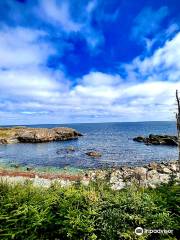 Louisbourg Lighthouse Coastal Trail