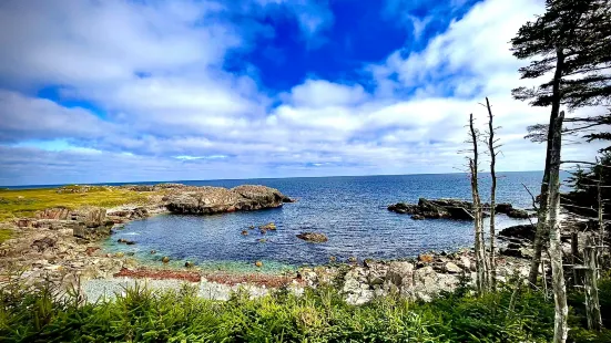 Louisbourg Lighthouse Coastal Trail