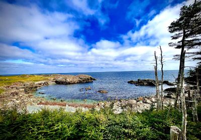 Louisbourg Lighthouse Coastal Trail