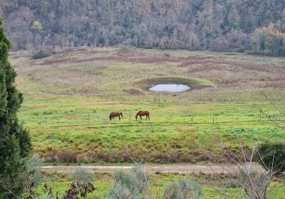 Tegoni Farm