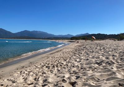 Plage de Portigliolo