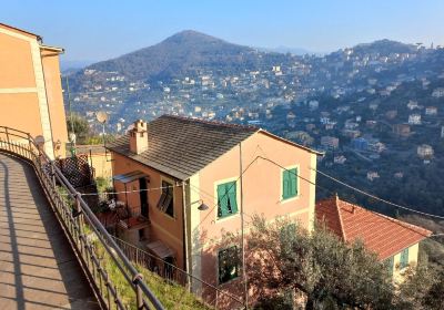 Camogli - San Rocco - Punta Chiappa Trail