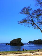 Kondang Merak Beach