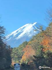 富士山公園