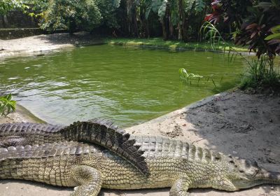 Amo Chhu Crocodile Breeding Centre