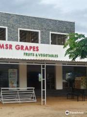 kumily tourist attractions MSR Grapes Garden