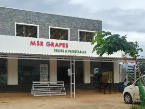 MSR Grapes Garden