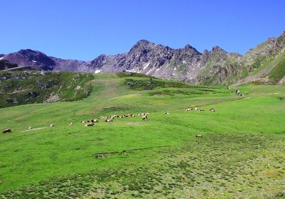 Ordino